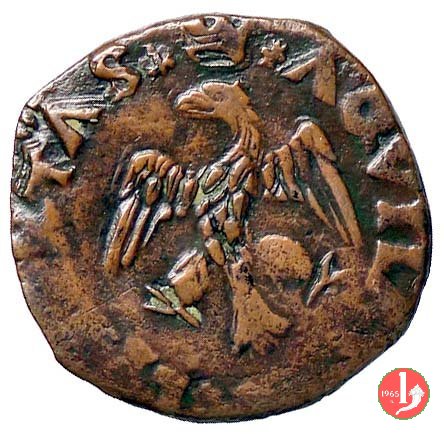 cavallo 1485-1486 (L'Aquila)