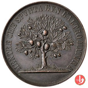 Ferrara - Scuole Normali 1805 Ferrara - Scuole Normali 1805