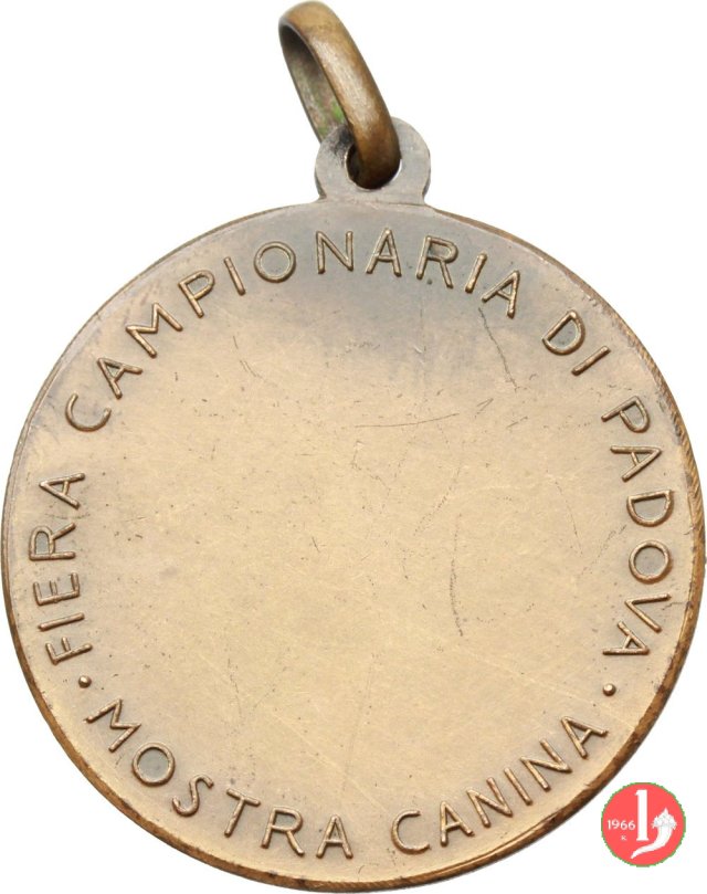 Mostra Canina - Fiere di Padova 1910 Mostra Canina - Fiere di Padova 1910