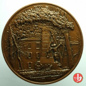 Padova Viva - degli Alberi 1993 1993 Padova Viva - degli Alberi 1993 1993