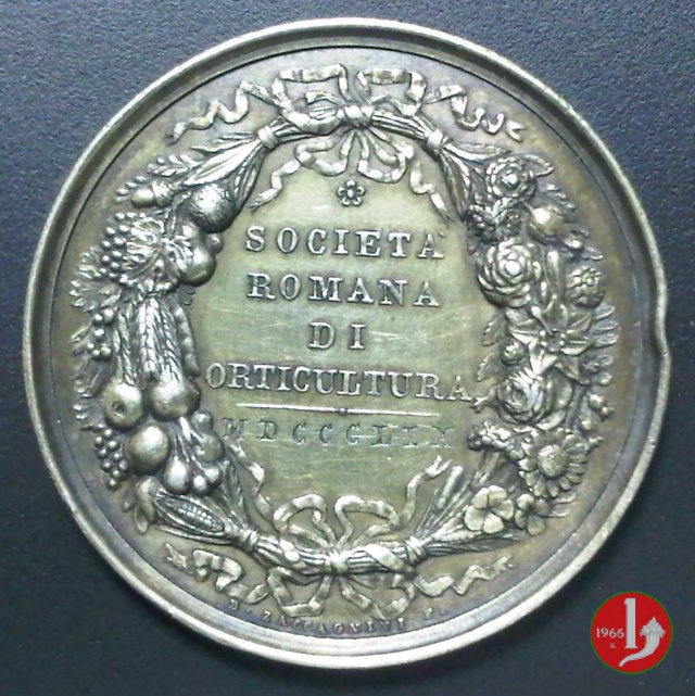 Premio Soc. Romana Orticoltura -B6 1859 Premio Soc. Romana Orticoltura -B6 1859
