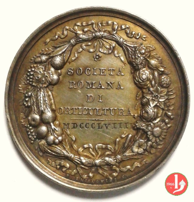 Premio Soc. Romana Orticoltura -B6 1859 Premio Soc. Romana Orticoltura -B6 1859