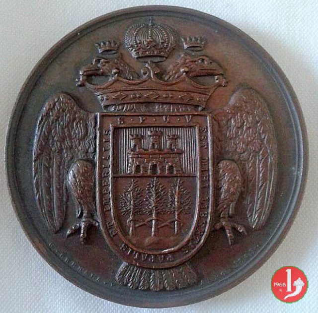 50° Ordinazione Sacerdotale Velletri -B16 1869 (Roma) 50° Ordinazione Sacerdotale Velletri -B16 1869 (Roma)