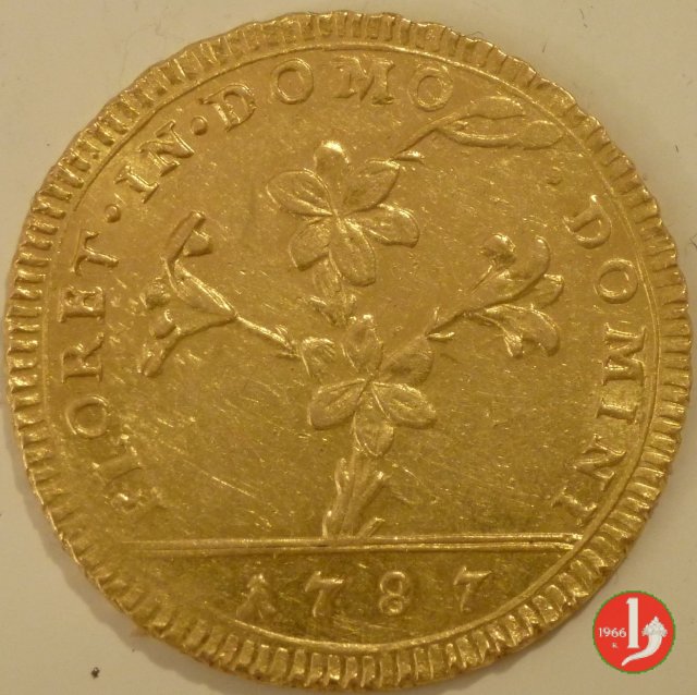 Doppia Romana o 30 Paoli 1787 (Roma) Doppia Romana o 30 Paoli 1787 (Roma)