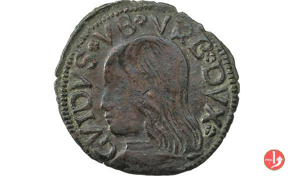 Quattrino (testa grande) 1482-1508 (Casteldurante-urbino)