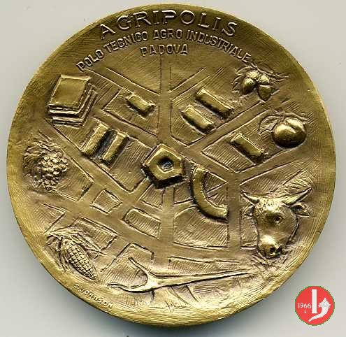 50° Facoltà di Agraria 1996 1996 50° Facoltà di Agraria 1996 1996