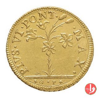 doppia romana 1786 (Bologna) doppia romana 1786 (Bologna)